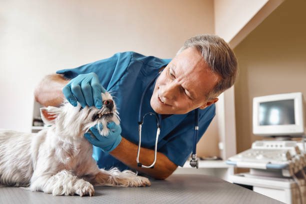 Best Emergency Dental Extractions in Vinton, TX